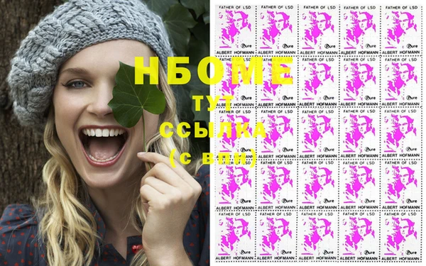 метадон Богданович