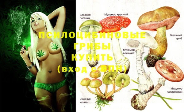 марихуана Богородицк