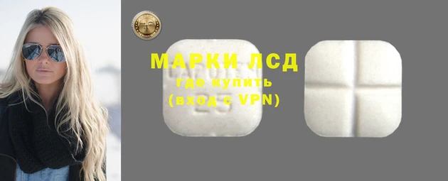метадон Богданович