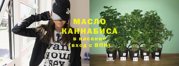метадон Богданович