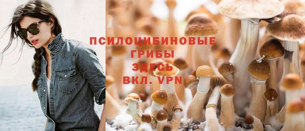 метадон Богданович