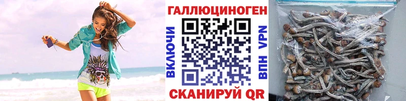 дарнет шоп  Новое Девяткино  Псилоцибиновые грибы прущие грибы 